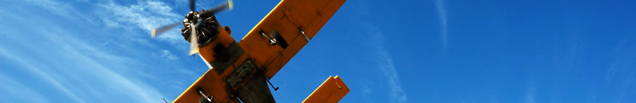 Expat Nation Rotating Header Image